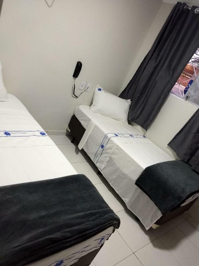 Hotel Flor Paulista São Paulo Eksteriør bilde